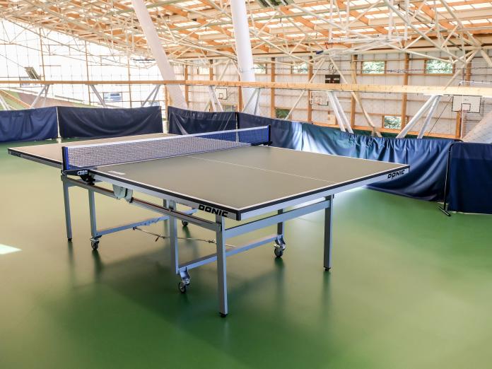 Billedet viser et bordtennisbord.